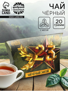 Чай подарочный «23 февраля», вкус: мята, 20 г