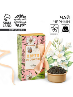 Чай зелёный «Ты восхищаешь», вкус: жасмин, 100 г