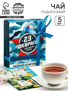 Чай подарочный «23 февраля», 9 г (5 шт.×1.8 г)
