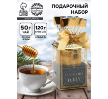 Подарочный набор новогодний «Богатого года»: чай 50 г, крем-мёд с апельсином, 120 г