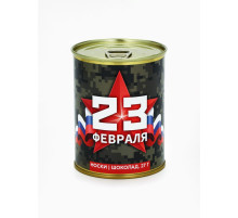 Подарочный набор «23 Февраля», носки + шоколад