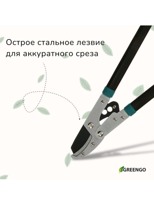 Сучкорез контактный, 31