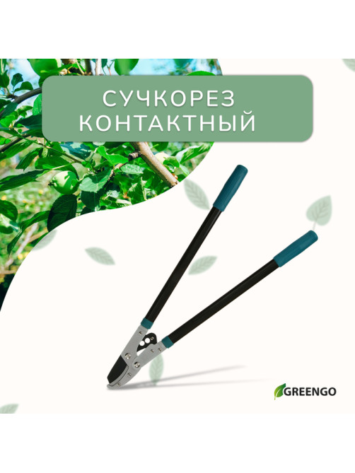 Сучкорез контактный, 31