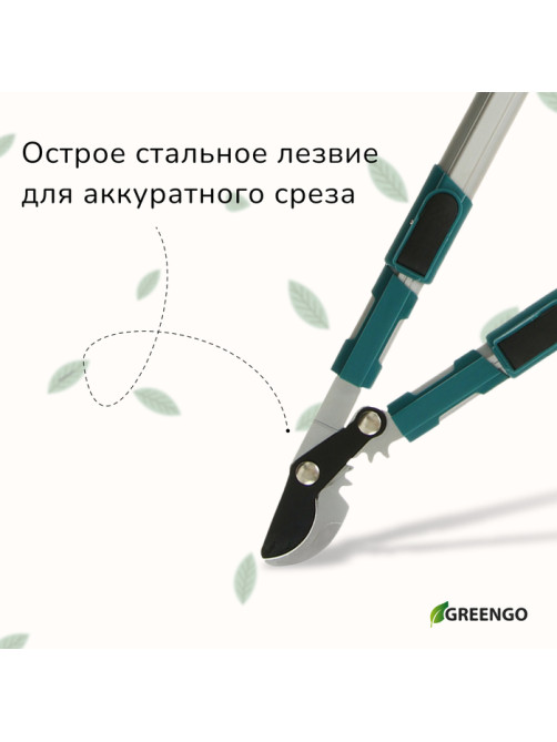 Сучкорез профессиональный, 26.4−37