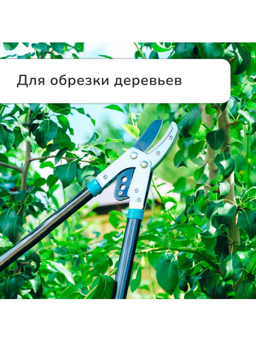 Сучкорез контактный, 31