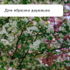 Сучкорез профессиональный, 26.4−37