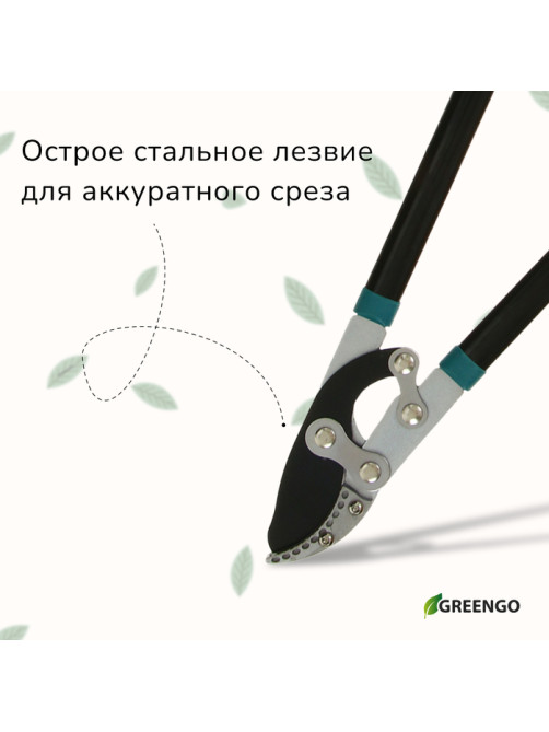 Сучкорез, профессиональный, 31