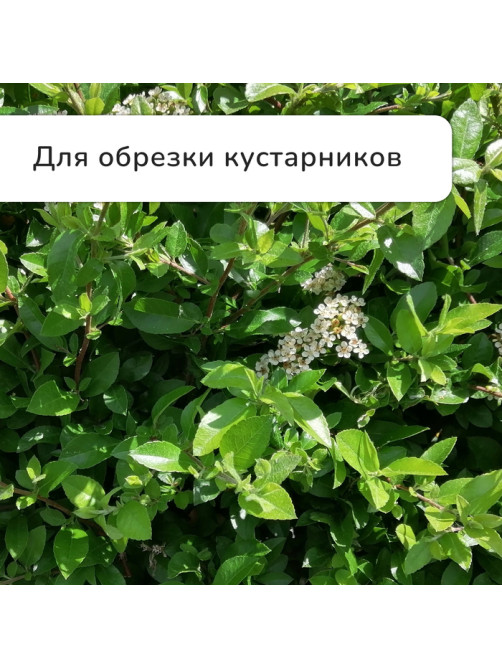 Сучкорез плоскостной, 22.5–33