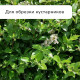 Сучкорез плоскостной, 22.5–33