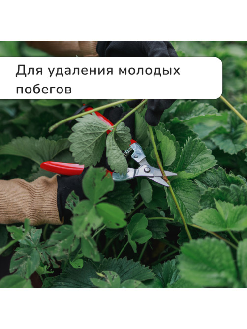 Ножницы садовые, 7