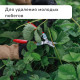 Ножницы садовые, 7