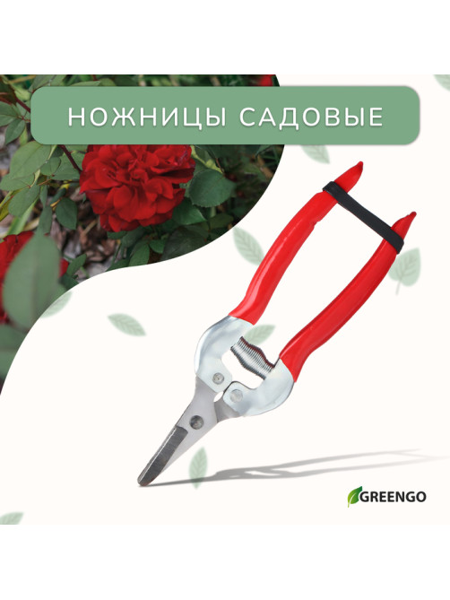 Ножницы садовые, 7