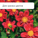 Ножницы садовые, 7