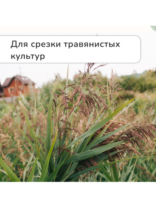 Ножницы садовые, 7