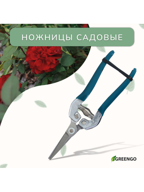 Ножницы садовые, 7