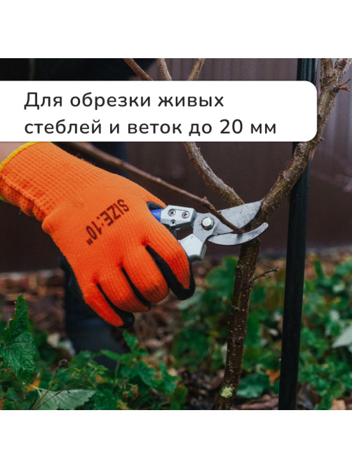 Секатор плоскостной, 8