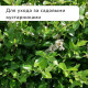 Секатор плоскостной, 7