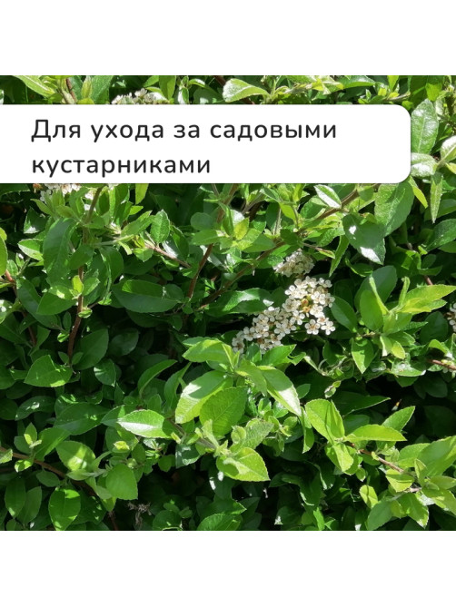 Секатор плоскостной, 9