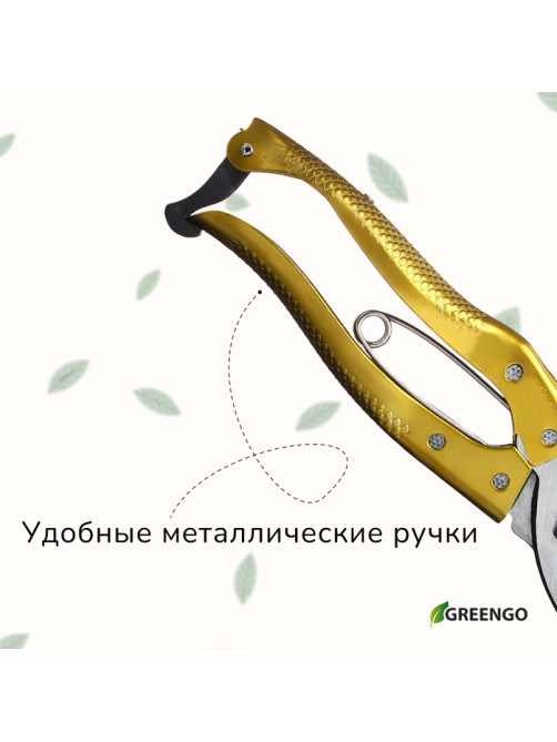 Секатор плоскостной, 8
