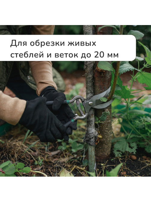 Секатор плоскостной, 8