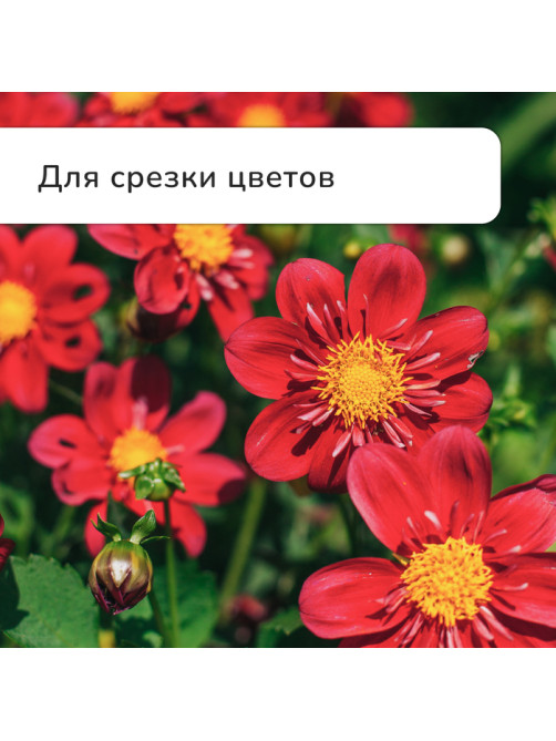 Секатор плоскостной, 8