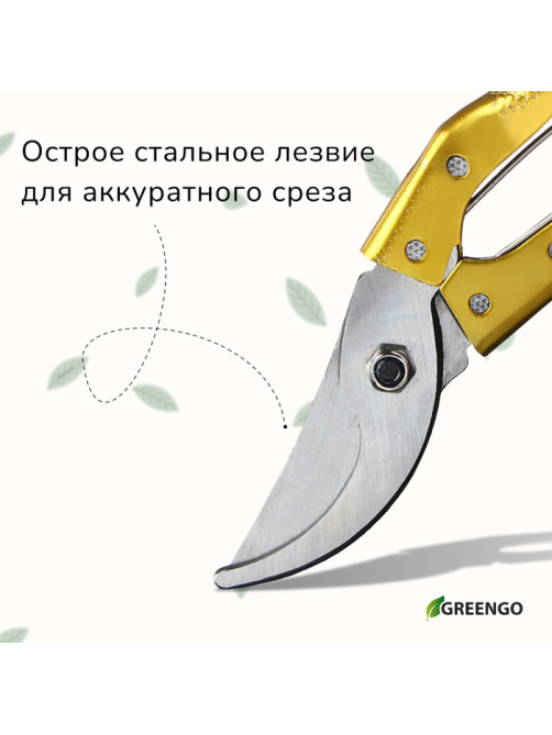 Секатор плоскостной, 8
