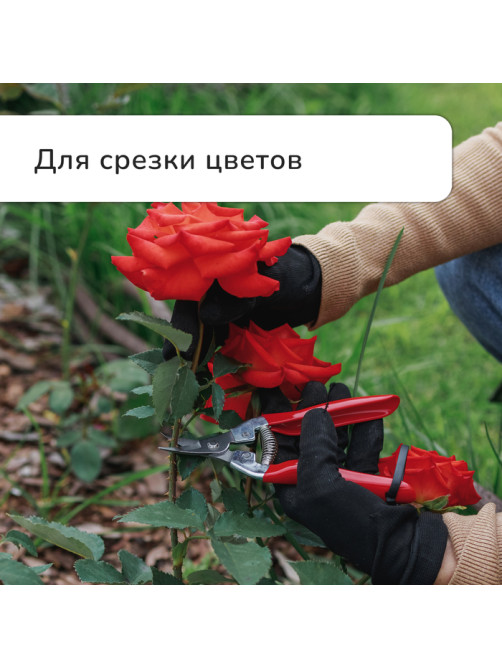 Ножницы садовые, 7