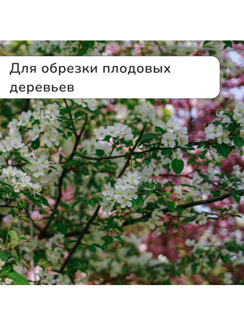 Секатор плоскостной, 8