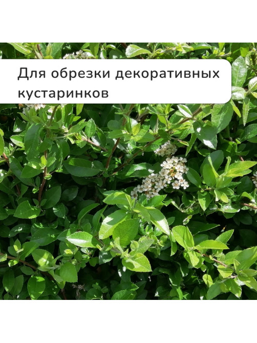 Секатор плоскостной, 7