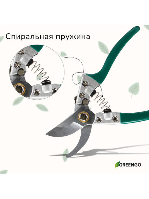Секатор плоскостной, 8