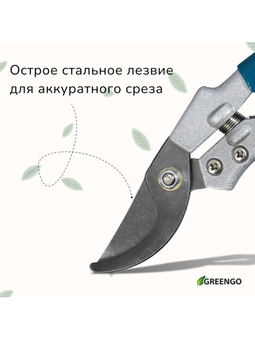 Секатор плоскостной, 8