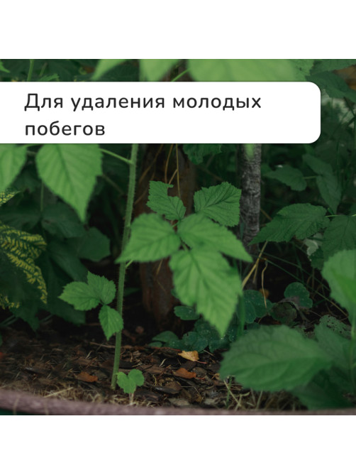 Секатор плоскостной, 9