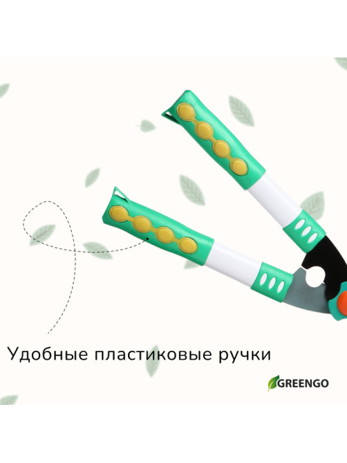 Кусторез, 19