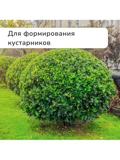 Кусторез, 22