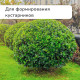 Кусторез, 22