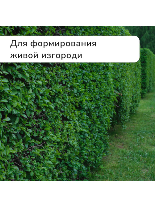 Кусторез, 22