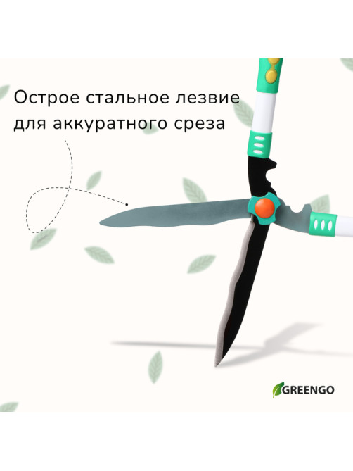 Кусторез, 19