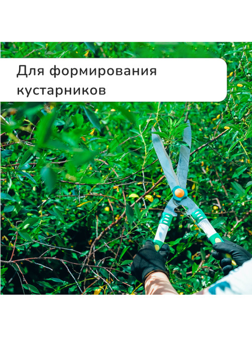 Кусторез, 19
