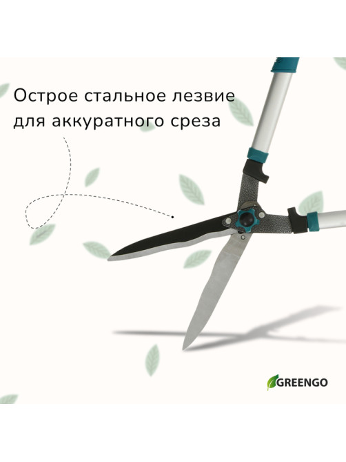 Кусторез, 22