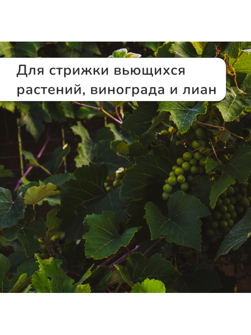 Кусторез, 19