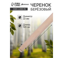 Черенок берёзовый, d=22 мм, длина 120 см, высший сорт, Greengo