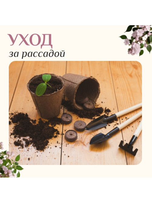 Набор садового инструмента для комнатных растений, 3 предмета: грабли, 2 лопатки, длина 24 см, деревянные ручки, Greengo