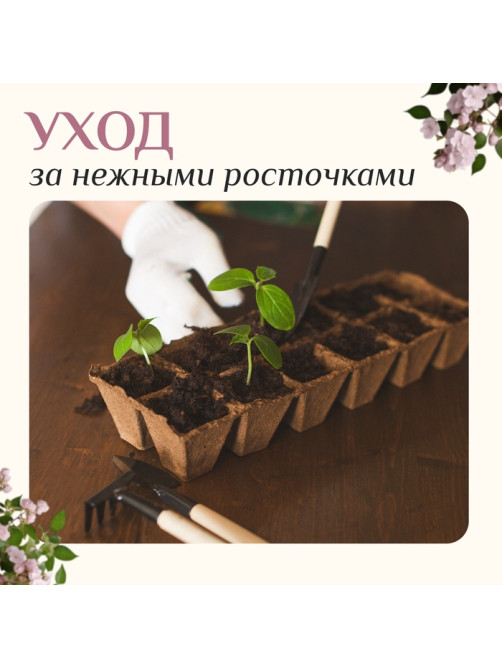 Набор садового инструмента для комнатных растений, 3 предмета: грабли, 2 лопатки, длина 24 см, деревянные ручки, Greengo