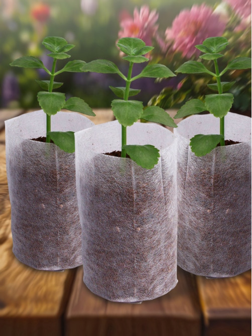 Пакет для рассады, 8.9×14.5 см, спанбонд плотностью 25 г/м², Greengo