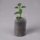 Пакет для рассады, 8.9×14.5 см, спанбонд плотностью 25 г/м², Greengo