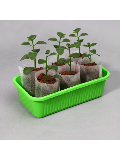 Пакет для рассады, 8×11 см, спанбонд, плотность 40 г/м², Greengo