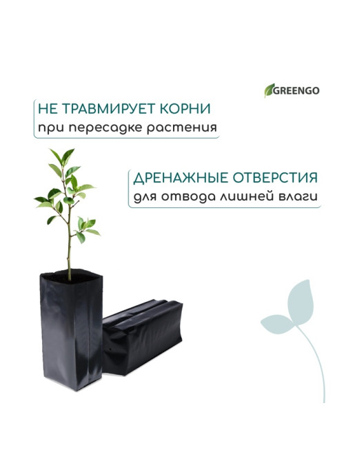Пакет для рассады, 5 л, 12×35 см, полиэтилен, толщина 100 мкм, с перфорацией, чёрный, Greengo