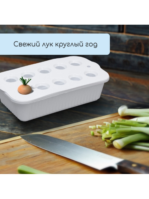 Ящик для выращивания зелёного лука, 29×16×8.5 см, 2.5 л, 10 лунок, пластик, белый, Greengo