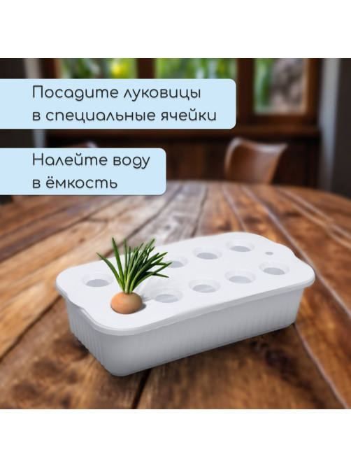Ящик для выращивания зелёного лука, 29×16×8.5 см, 2.5 л, 10 лунок, пластик, белый, Greengo
