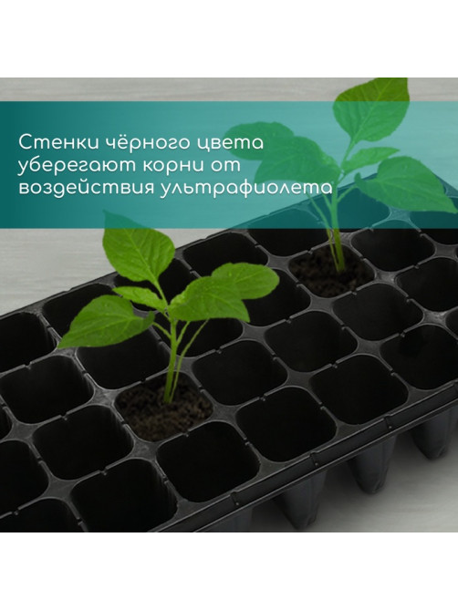 Кассета для рассады, 32 ячейки по 150 мл, пластик, чёрная, 51×28×10 см, Greengo